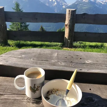 Almchalet Backerhof *